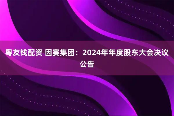 粤友钱配资 因赛集团：2024年年度股东大会决议公告