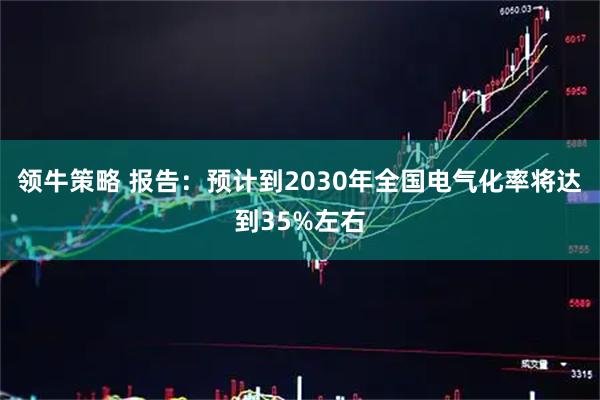 领牛策略 报告：预计到2030年全国电气化率将达到35%左右