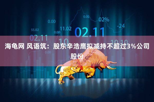 海龟网 风语筑：股东辛浩鹰拟减持不超过3%公司股份